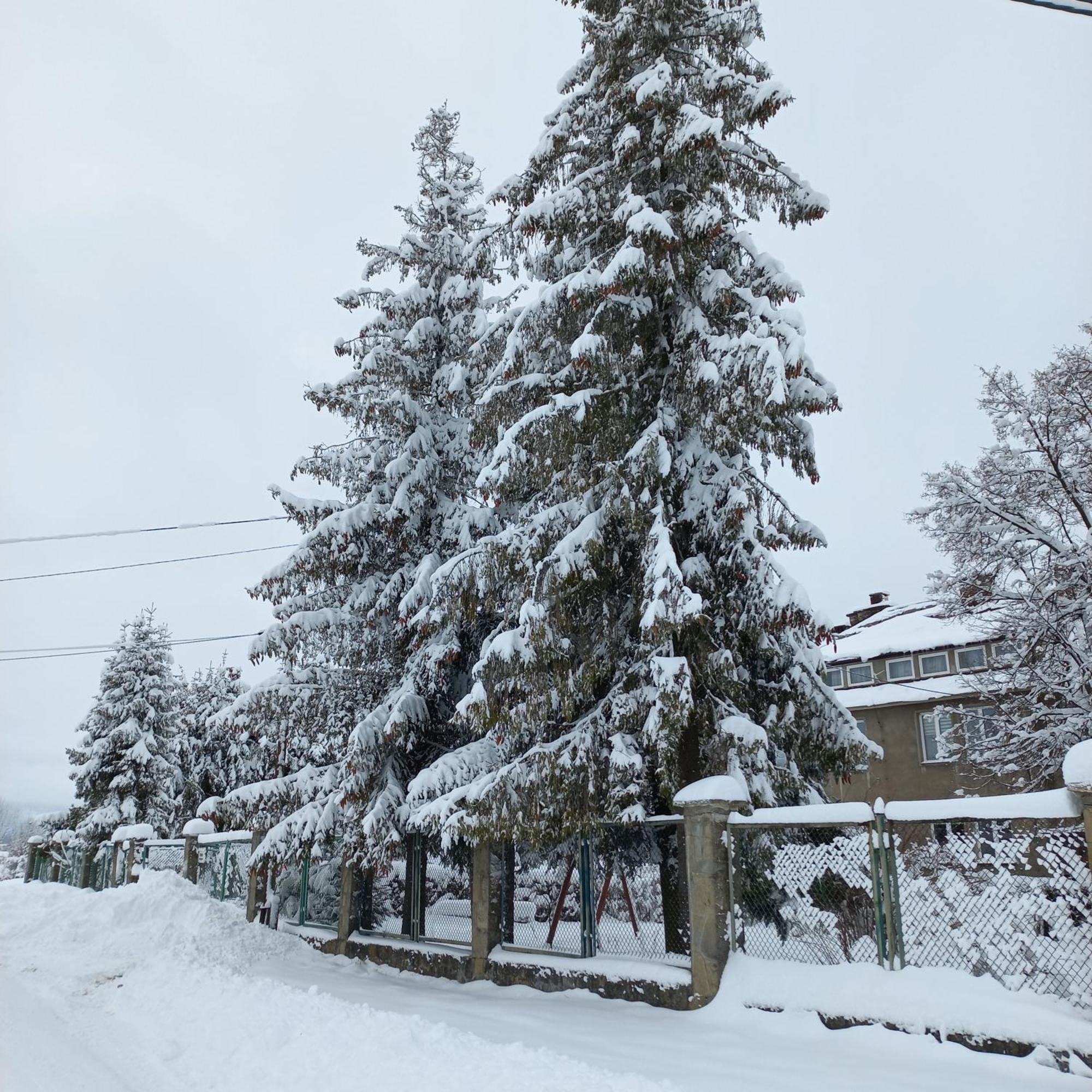 Apartamenty Na Szlaku Czarny Dunajec Exterior foto